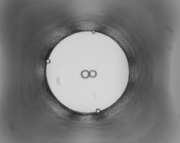 X0000111140309200906301022