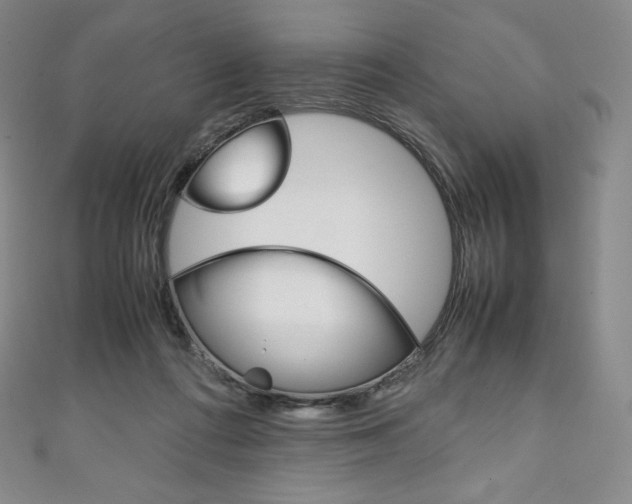 X0000111140312200906301022