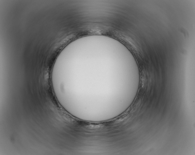 X0000111140314200906301022