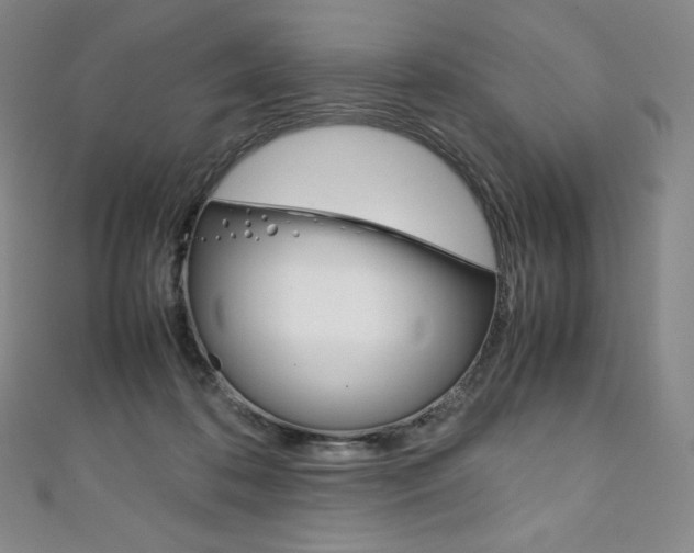 X0000111140316200906301022