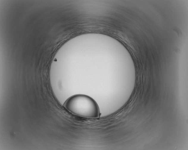 X0000111140317200906301022