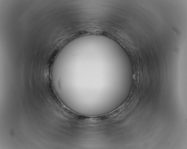 X0000111140320200906301022