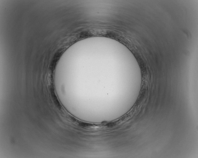 X0000111140323200906301022