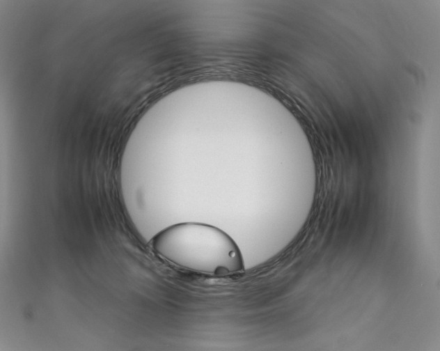 X0000111140324200906301022