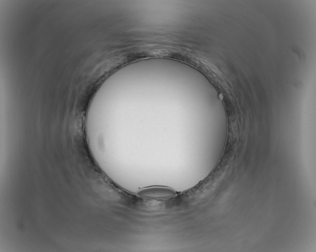 X0000111140325200906301022