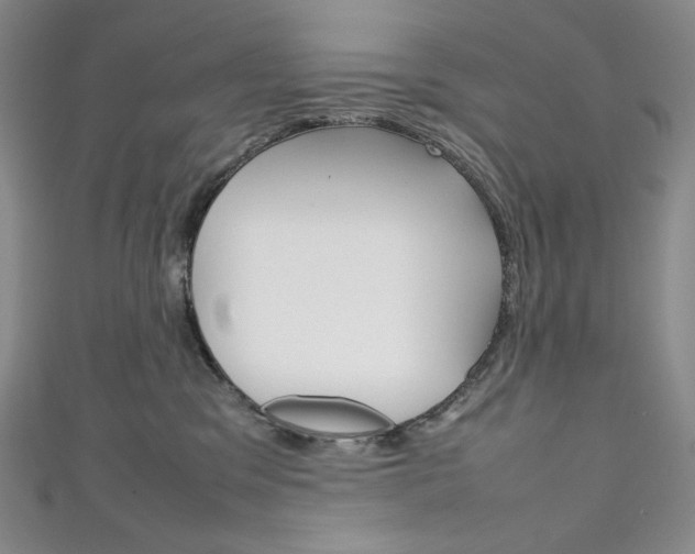 X0000111140329200906301022