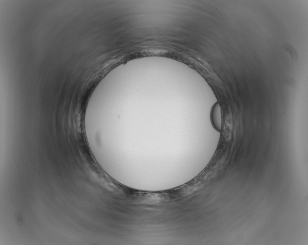 X0000111140330200906301022