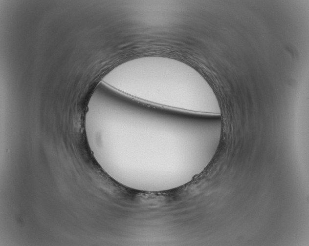 X0000111140331200906301022