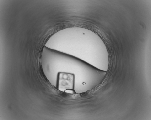 X0000111140333200906301022