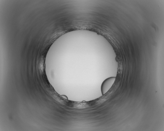 X0000111140334200906301022