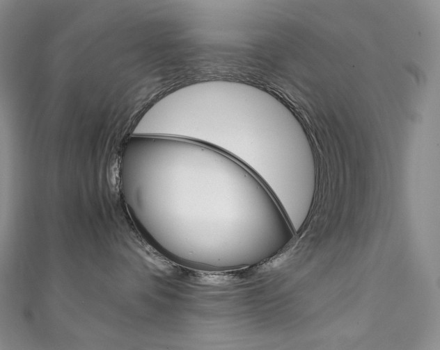 X0000111140336200906301022