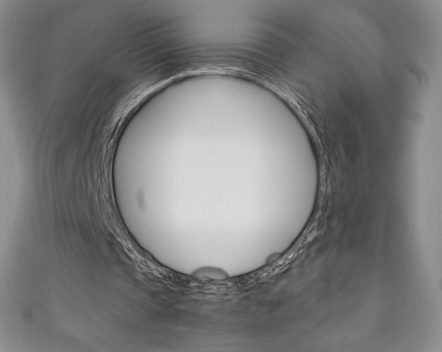 X0000111140337200906301021