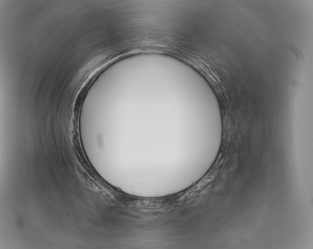 X0000111140338200906301021