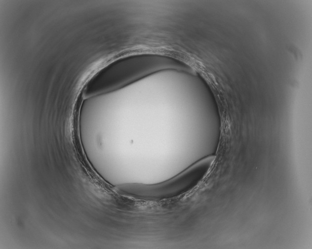 X0000111140340200906301021