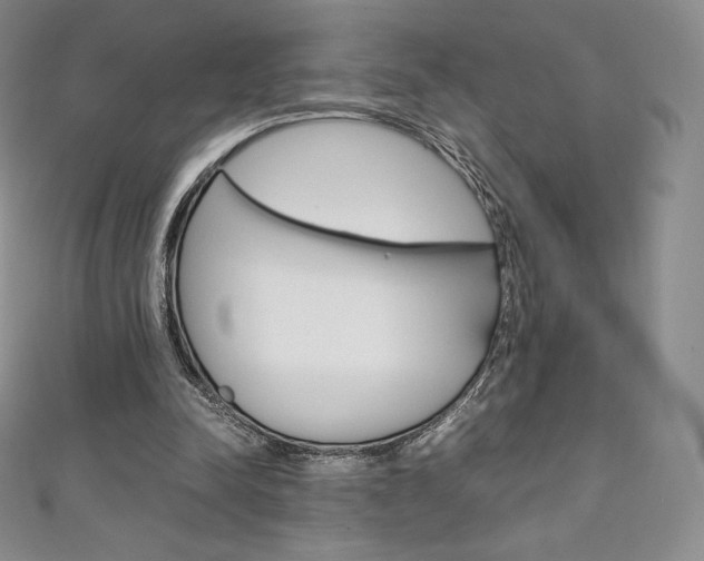 X0000111140342200906301021