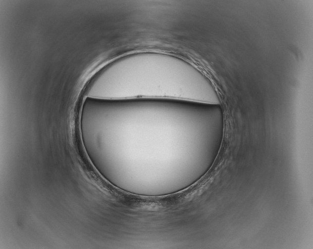 X0000111140344200906301021