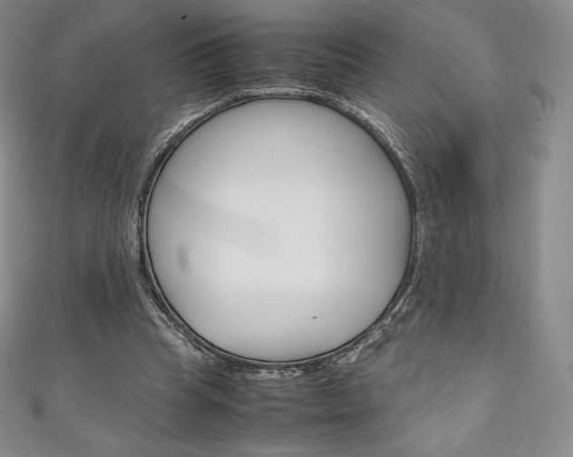 X0000111140345200906301021