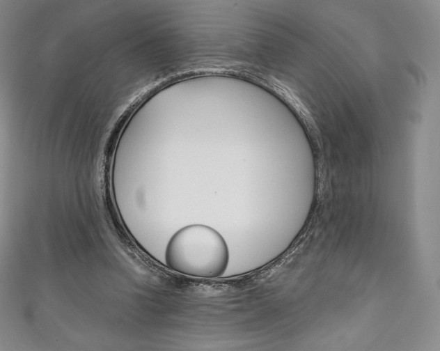 X0000111140346200906301021