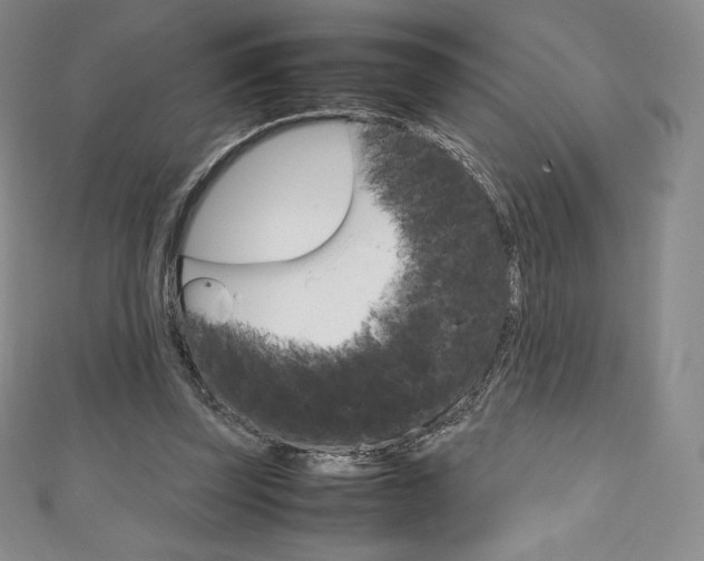 X0000111140347200906301021