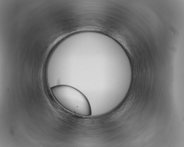 X0000111140348200906301021
