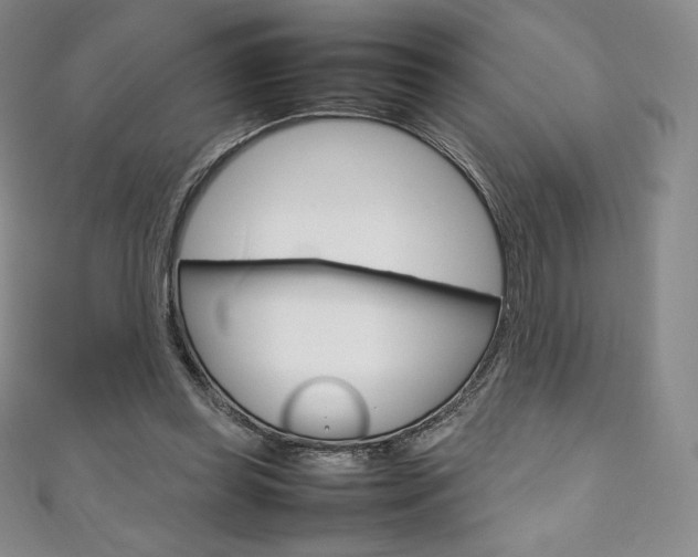 X0000111140349200906301021