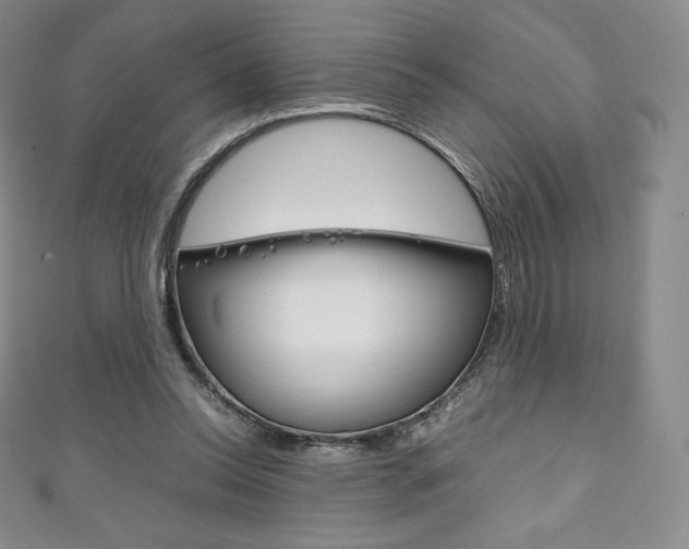 X0000111140350200906301021