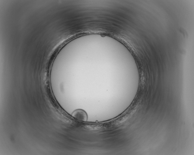 X0000111140351200906301021