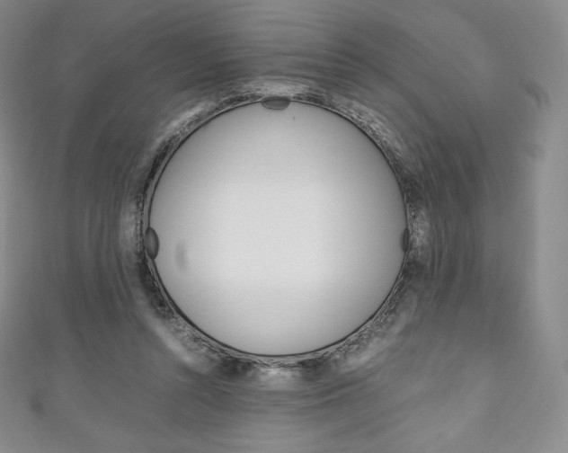 X0000111140352200906301021