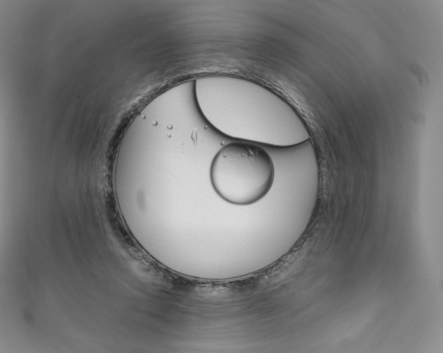 X0000111140354200906301021