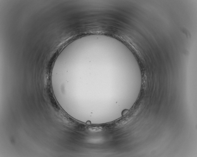 X0000111140355200906301021