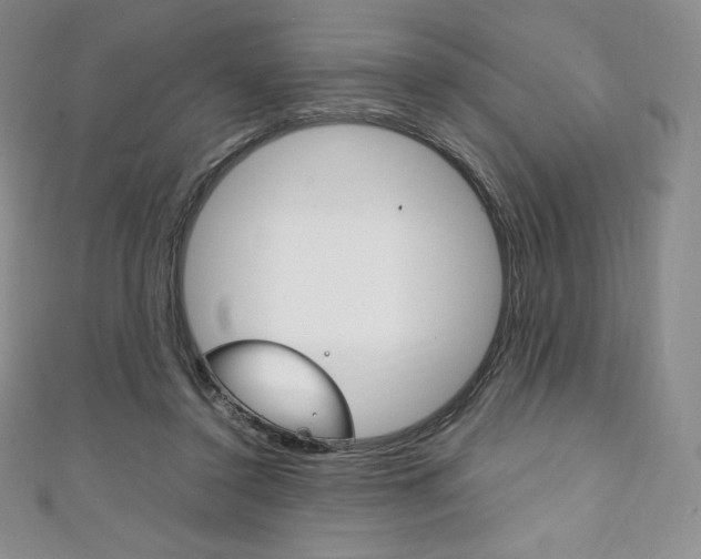 X0000111140356200906301021