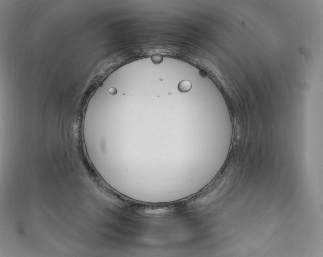 X0000111140357200906301021