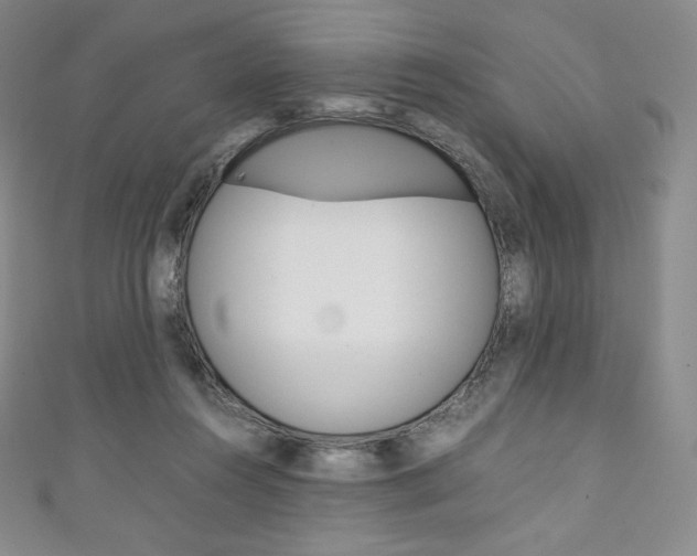 X0000111140360200906301021