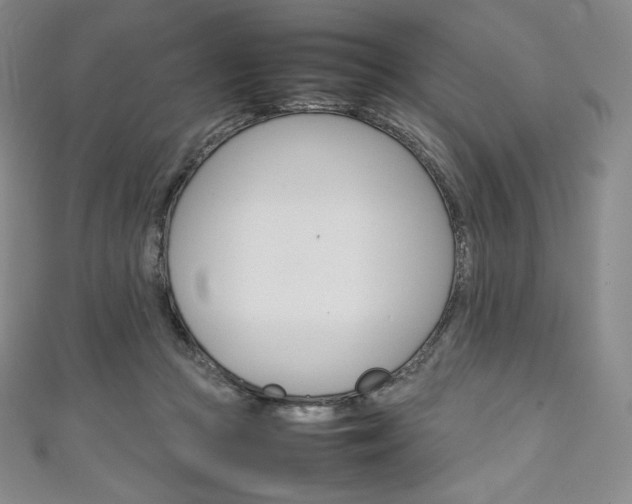 X0000111140361200906301022