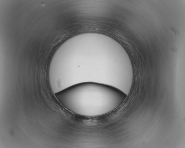 X0000111140362200906301022