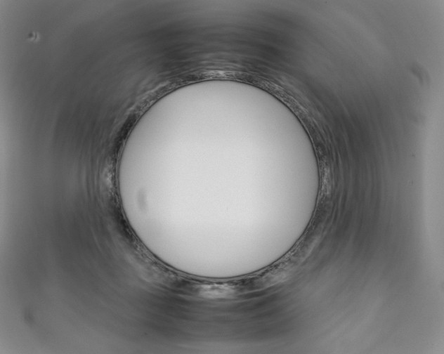 X0000111140363200906301022