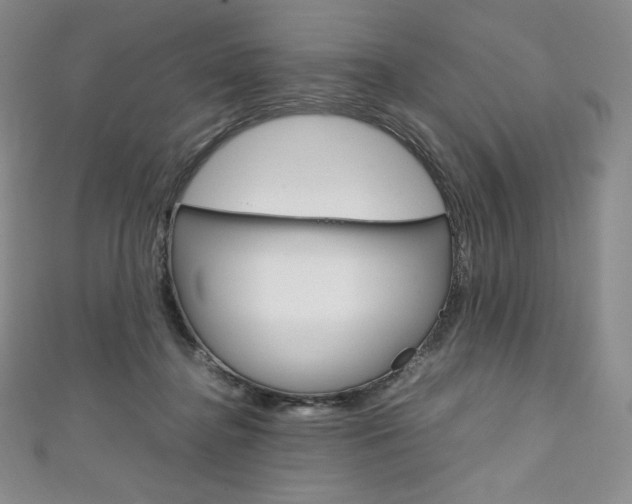 X0000111140364200906301022