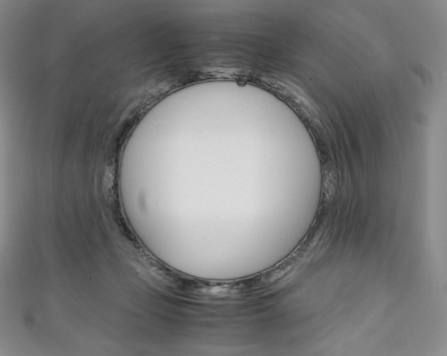 X0000111140365200906301022