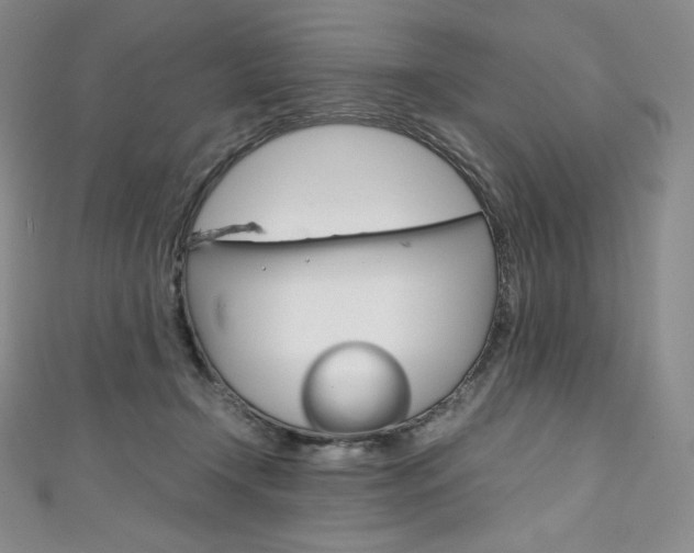 X0000111140366200906301022