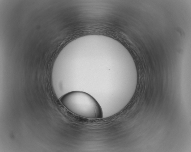 X0000111140368200906301022