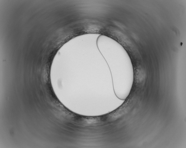 X0000111140370200906301022