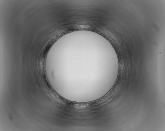 X0000111140373200906301022