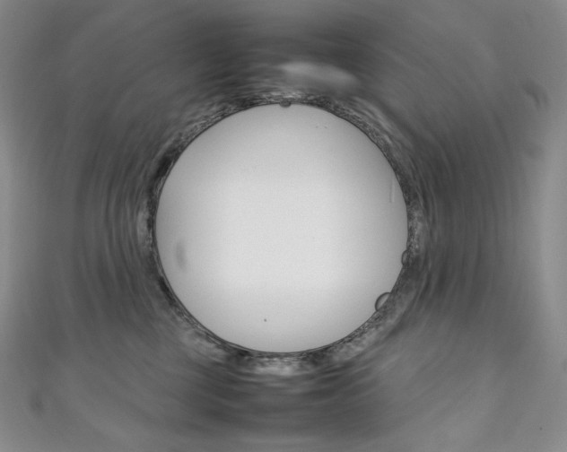 X0000111140377200906301022