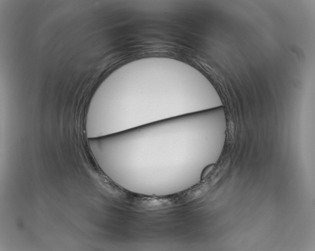 X0000111140379200906301022