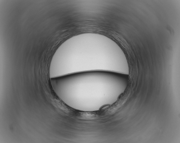 X0000111140380200906301022