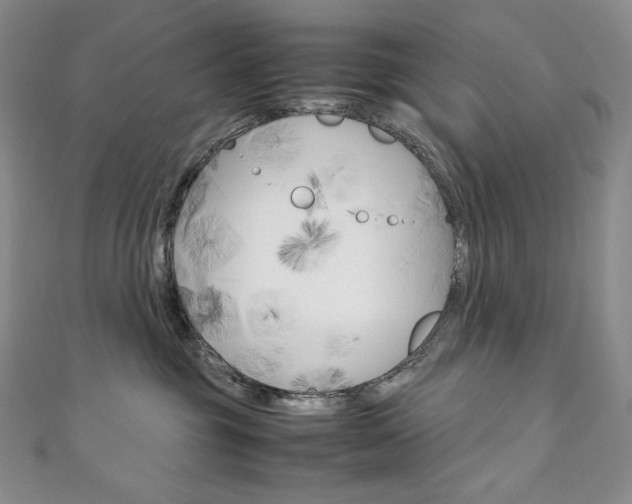 X0000111140381200906301022