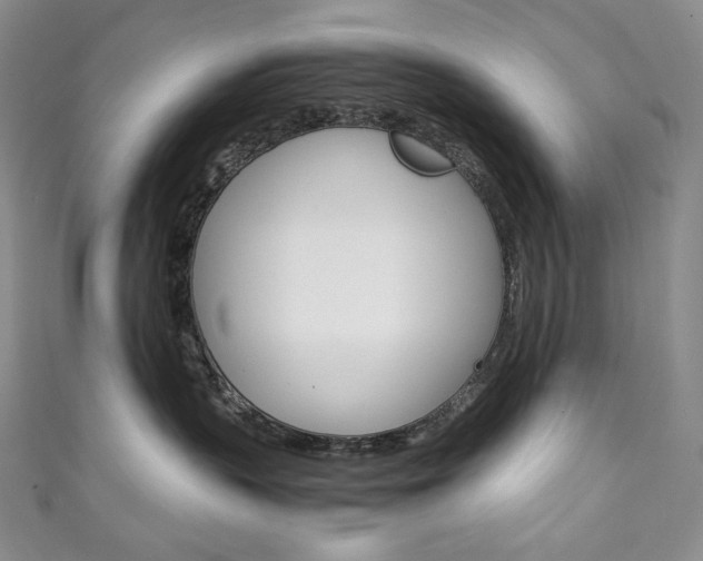 X0000111140383200906301022