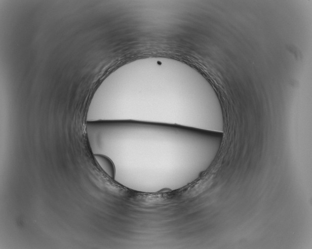 X0000111140384200906301022
