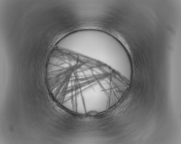X0000111140385200906301021