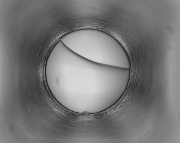 X0000111140386200906301021